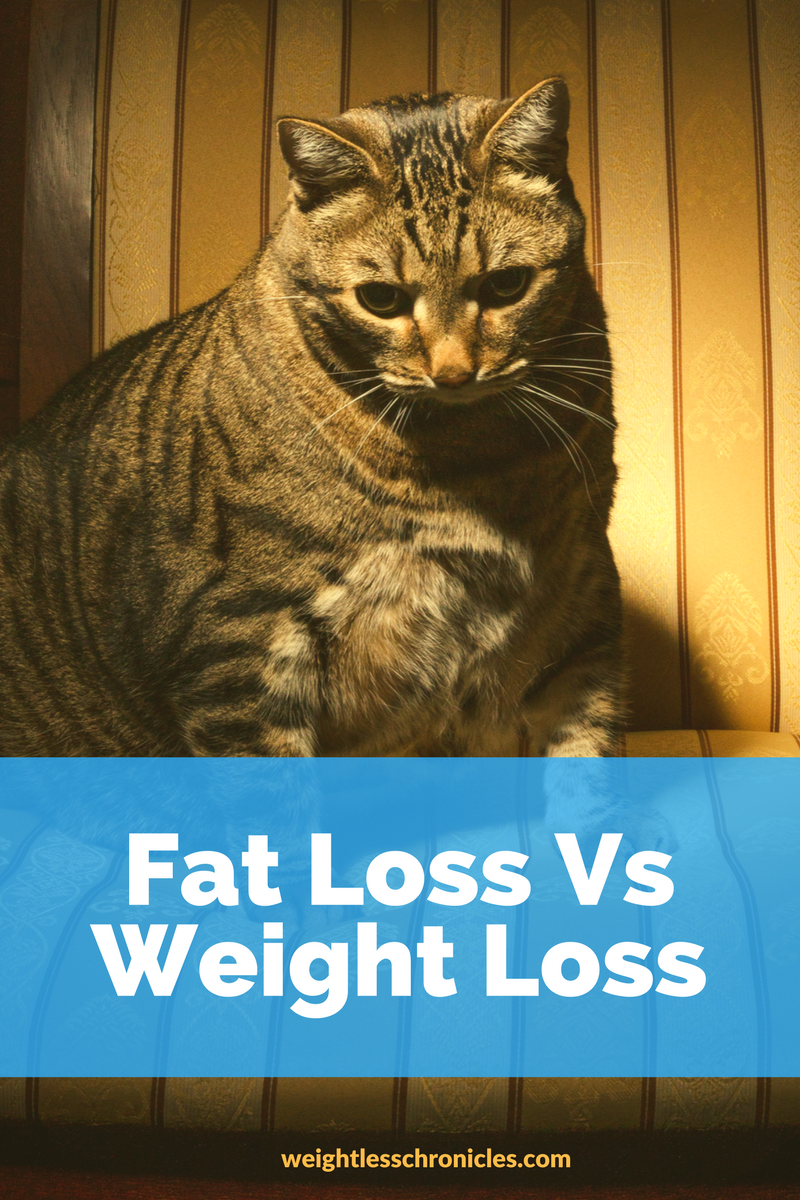 fat loss versus weight loss photo