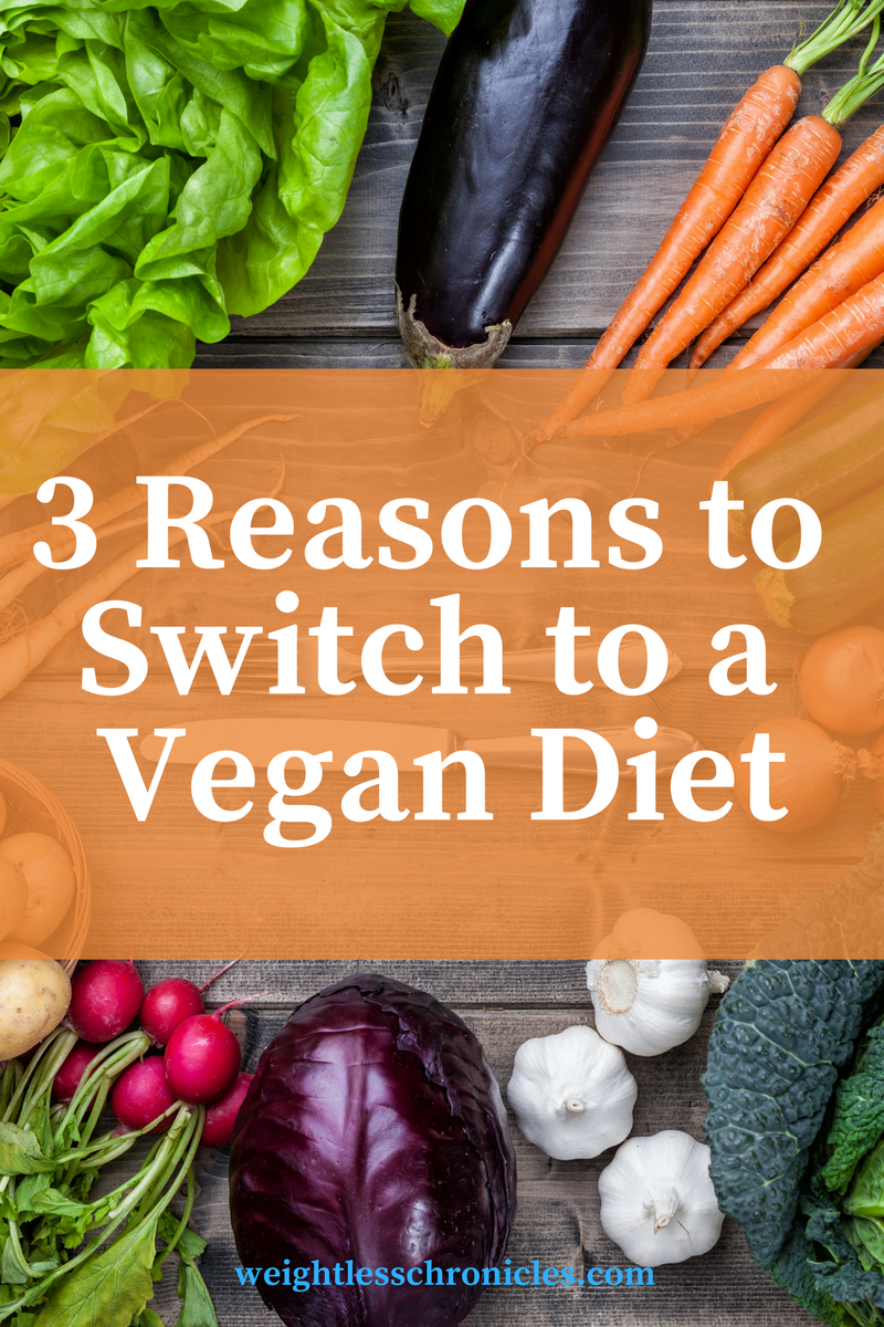 3 reasons to switch to a vegan diet guest blog post Laura Van Zandt